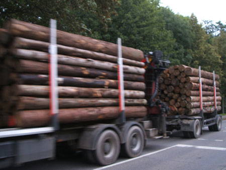 Fotogalerie - 12/12/2009